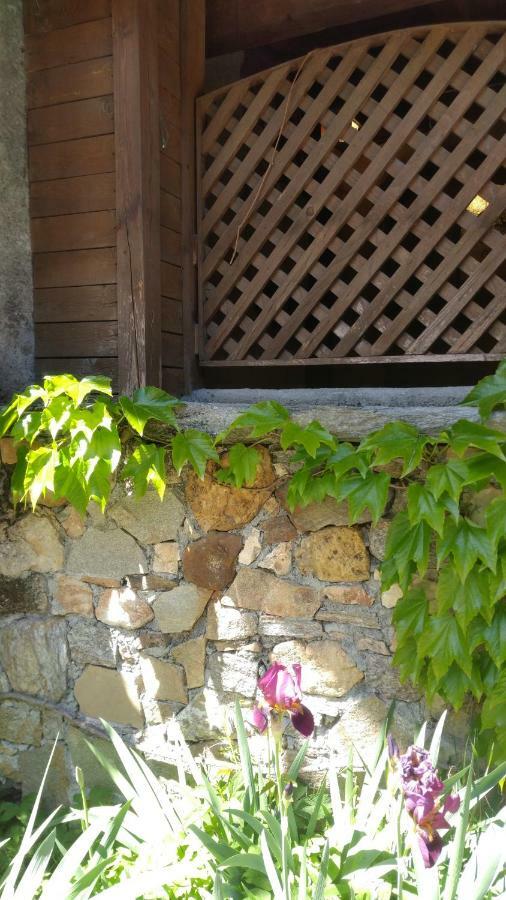 Beau Duplex 54M2, Classe 3 Etoiles Et Label "Gite De France" 5Min Centre, 15Min Gare Climatisation, Calme, 2 Chambres, Netflix Wifi, Tv 140Cms, Parking, Boite A Cles Arrivee Tardive - Gites La Tarine - Albertville Exterior foto